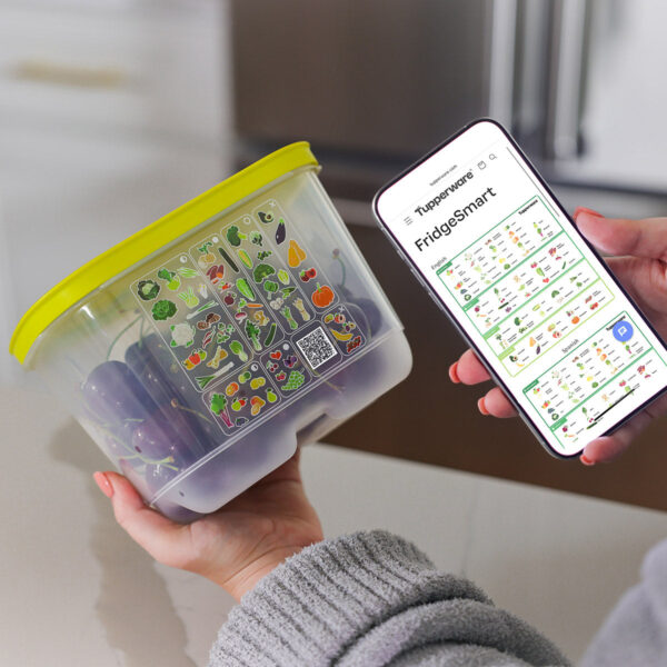 FridgeSmart® Containers