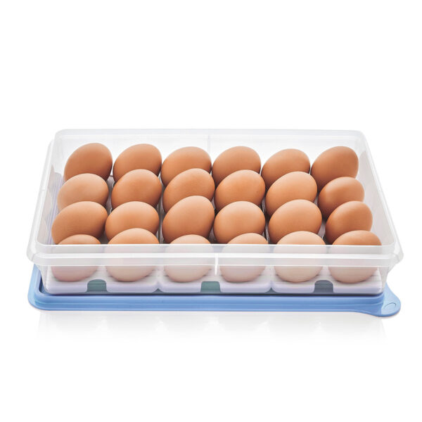 Snack-Stor® | Large with Egg Inserts