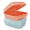 10049021599.jpg Tupperware® Sandwich Keepers - 2 Easy-Open Lunch Boxes for Kids