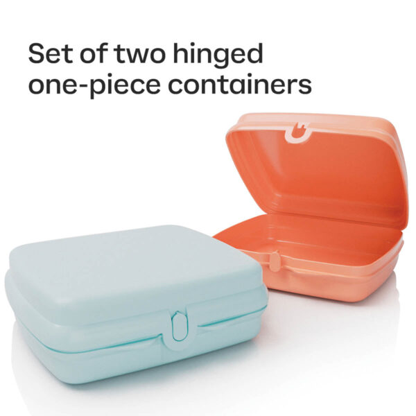 10049021599-2.jpg Tupperware® Sandwich Keepers - 2 Easy-Open Lunch Boxes for Kids