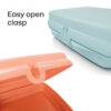10049021599-4.jpg Tupperware® Sandwich Keepers - 2 Easy-Open Lunch Boxes for Kids