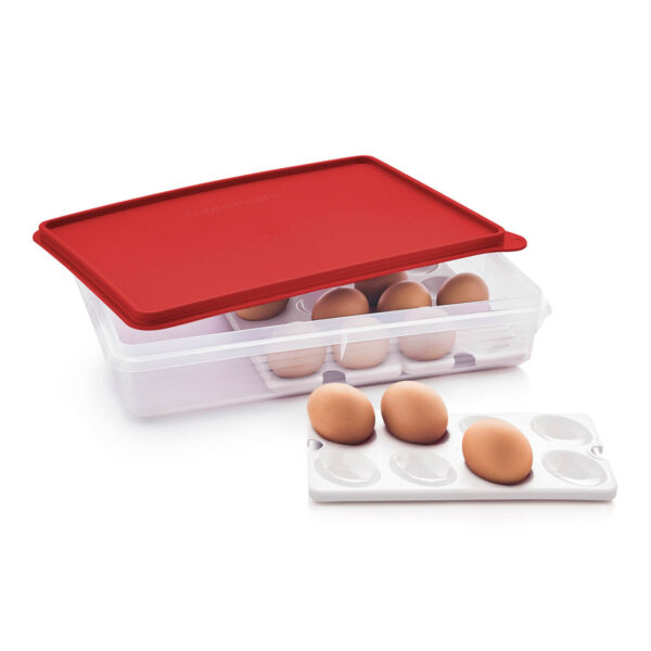 10049071439.jpg Snack-Stor® | Large with Egg Inserts