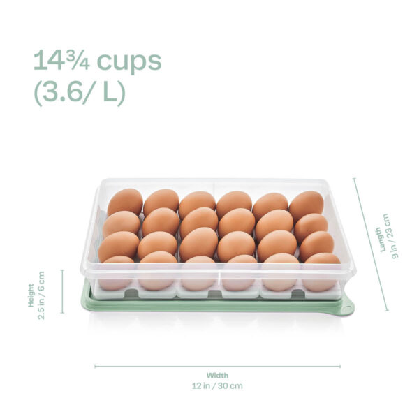 10049071440-3.jpg Tupperware® Snack-Stor® Large Storage Container with 3 Egg Tray Inserts