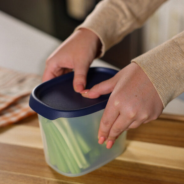 10176161000-5.jpg One Touch Fresh™ Oval | 4½ cup / 1.1 L