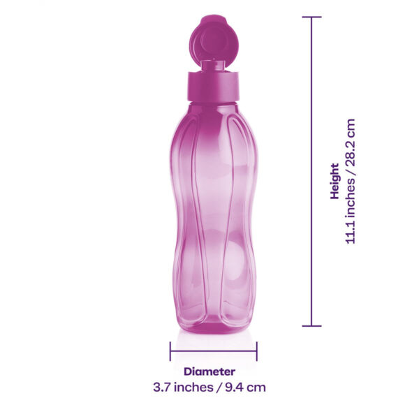 Eco+ Bottle | Large