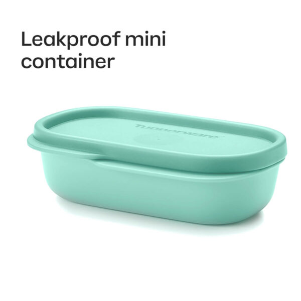 10183340000-6.jpg Slim Lunch Container