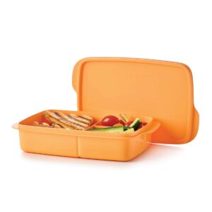eco-plus-lunchit-large.jpg Lunch-It® Large Container