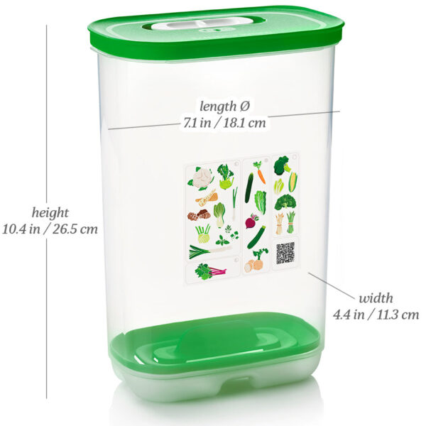 FridgeSmart® Containers