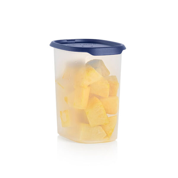 one-touch-fresh-oval-2405-3193.jpg One Touch Fresh™ Oval | 7½ cup / 1.8 L