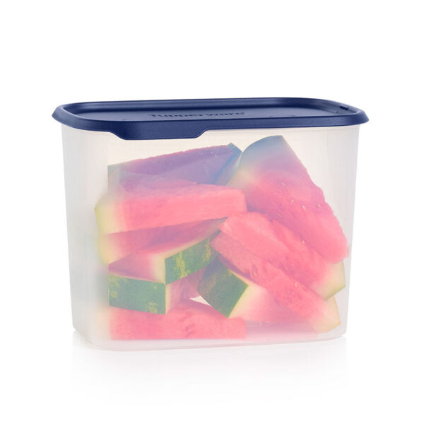 one-touch-fresh-rectangular-2405-3197.jpg One Touch Fresh™ Rectangular | 18½ cup / 4.4 L