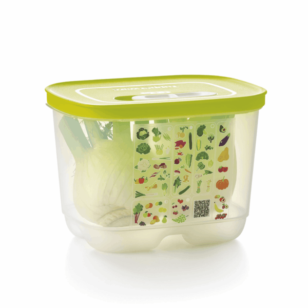 FridgeSmart® Containers